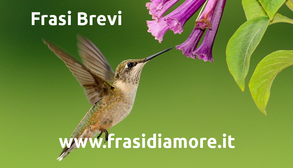 Frasi Brevi per lei e per lui da inviare subito a chi ami - www.frasidiamore.it