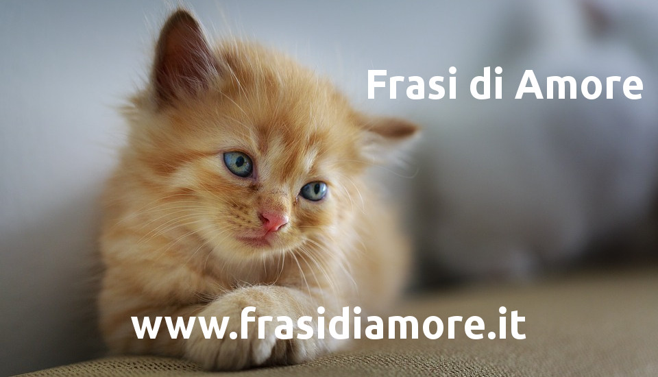 Frasi di Amore da inviare a chi ami - www.frasidiamore.it